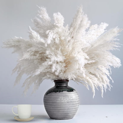 Pampas Grass Decor, Natural Dry Pampas Grass Small, Short Pampass Bulk for Farmhouse, Wall, Kitchen, Bedroom Decor, Office Decor (17 inch )