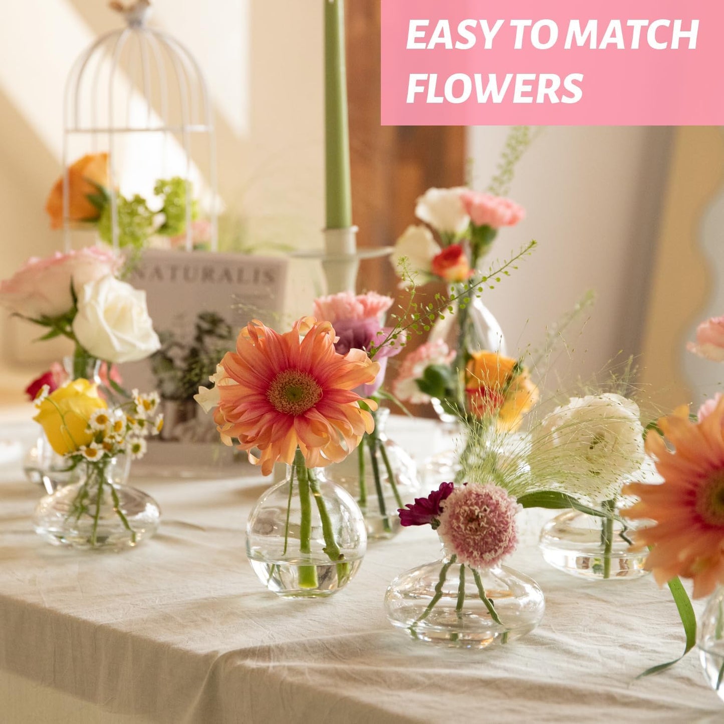 Bud Vases Set of 12, Clear Glass Bud Vase in Bulk, Small Vases for Centerpiece Mini Modern Flower Vase Transparent, Wedding Party Table Home Decor