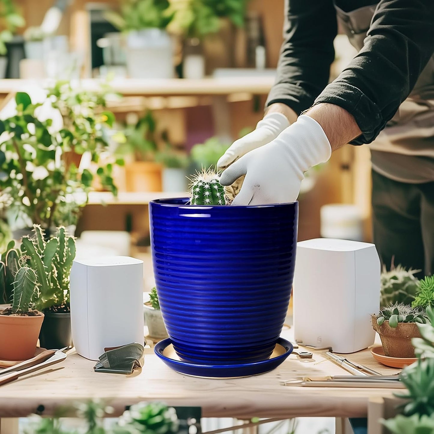 Ceramic Pots for Plants - 6 Inch Plant Pot with Drainage Hole and Saucer, Round Planters for Indoor Outdoor, Flower Pots, Modern Planter, Home Office Room Decor, Gifts for Plant Lovers, White