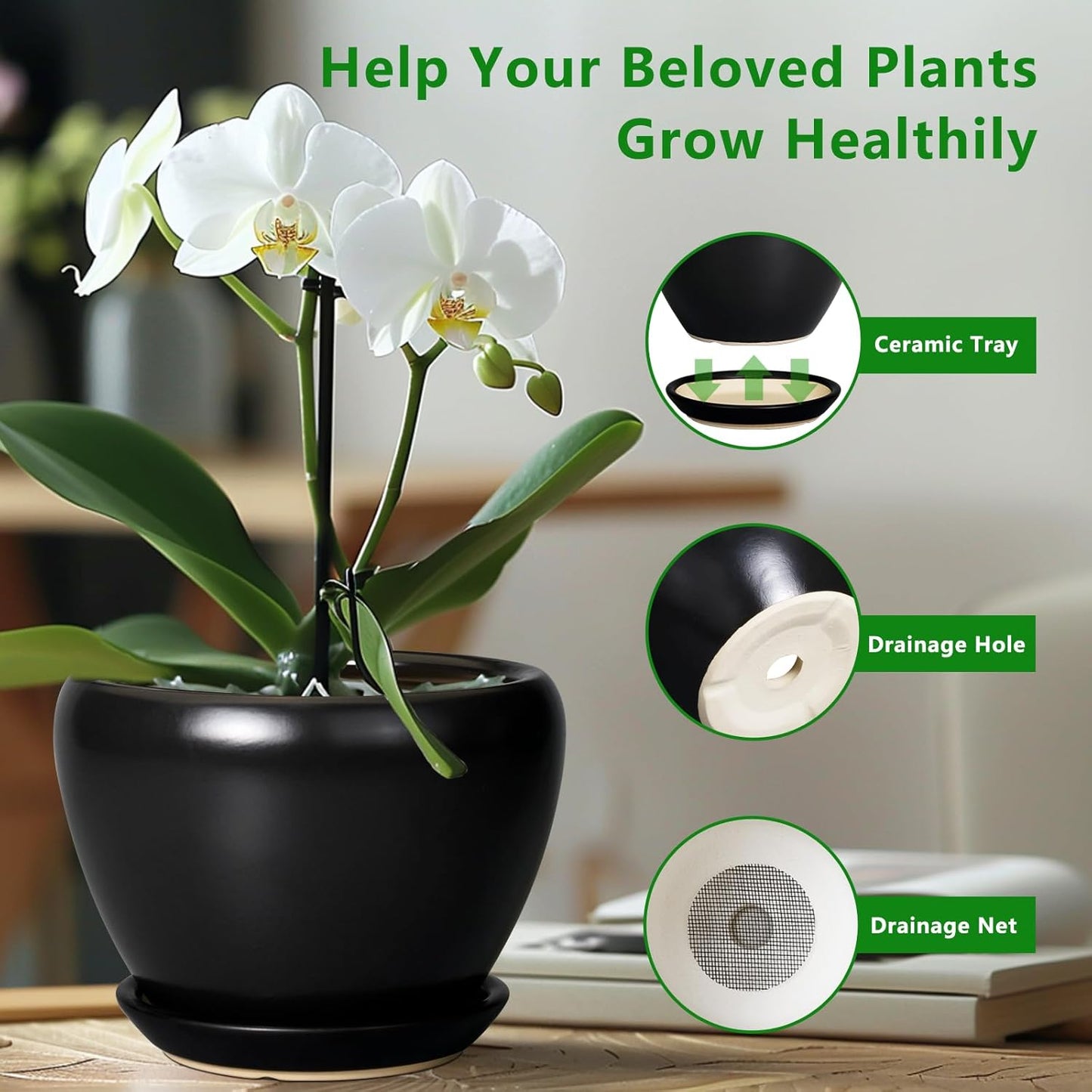 Ceramic Modern Glaze Succulent Planter Pot with Drainage Hole and Saucer 6 Inch Round Flower Plant Pot for Indoor Outdoor Herb Snake Plants