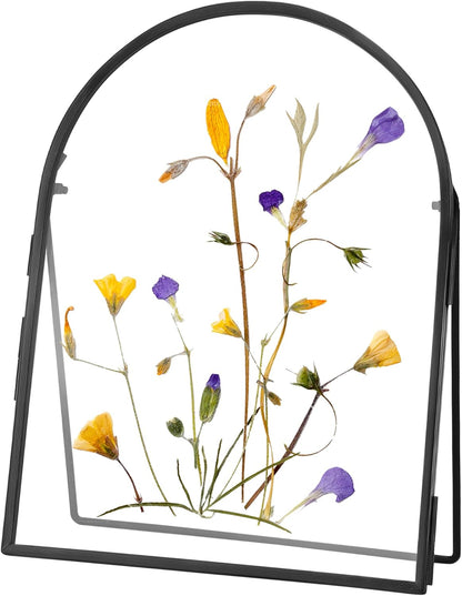 REDHUGO Double Glass Frame for Pressed Flowers Handmade, Metal Floating Picture Frame for Pressed Flower, Tabletop Display, Brass, ArcShaped, Black, 4x6 inches (FRAME ONLY)