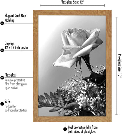 Americanflat 16x20 Picture Frame with Polished Plexiglass - Black Picture Frame - Wide Photo Frames Made of Engineered Wood for Vertical or Horizontal Wall Display - Epic Collection - Black - Colors B