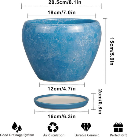 Ceramic Modern Glaze Succulent Planter Pot with Drainage Hole and Saucer 6 Inch Round Flower Plant Pot for Indoor Outdoor Herb Snake Plants