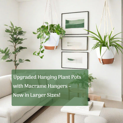 Bouqlife Hanging Planters with Macrame Plant Hangers for Indoor Outdoor Plants 3 Set Self Watering Pots Hanging Baskets Flower Pot Holders 3 Different Size