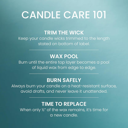 Yankee Candle Balsam & Cedar, Scented Candle, 22oz Large Jar with up to 150 Hour Burn Time, Giftable