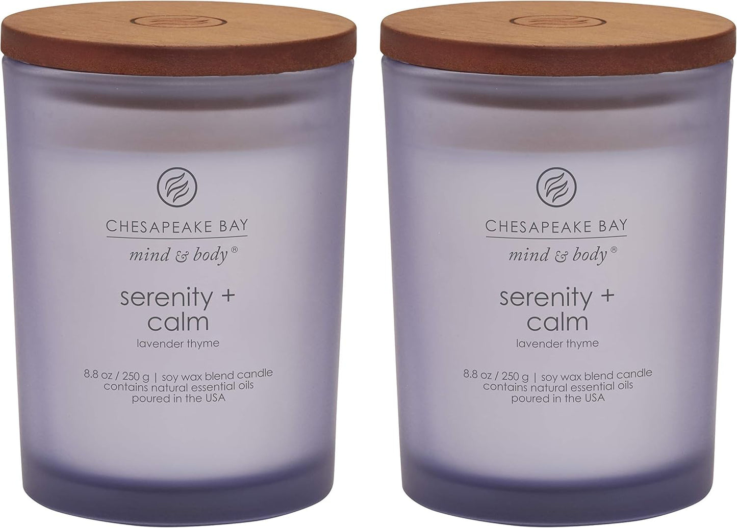 Chesapeake Bay Candle PT40886 Scented Candle Awaken + Invigorate (Lemongrass Eucalyptus) Medium Green Home Décor
