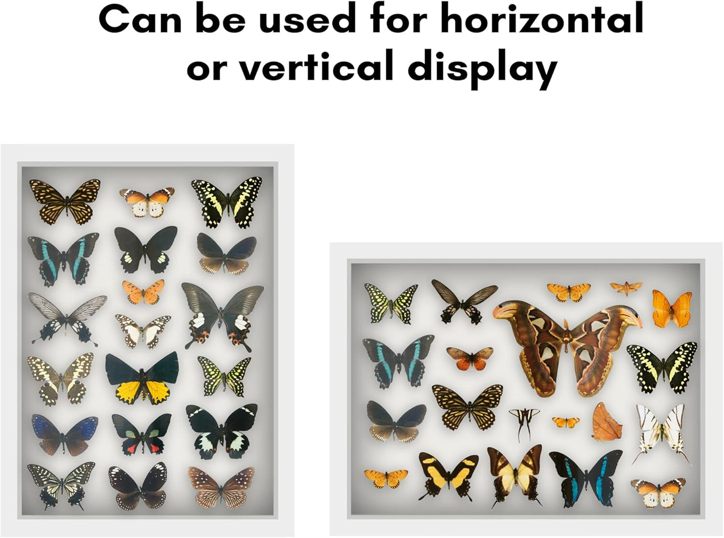 Americanflat 12x16 Shadow Box Frame with Polished Plexiglass - Silhouette Collection - Large Shadow Box Display Case for Tabletop and Wall Display - Black with Soft Felt Back