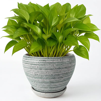 Deep Dream 6 Inch Plant Pots- Ceramic Planter Pot with Drainage Hole and Saucer, Round Flower Pot for Indoor Outdoor Succulent, Snake Plants and Cactus, Blue