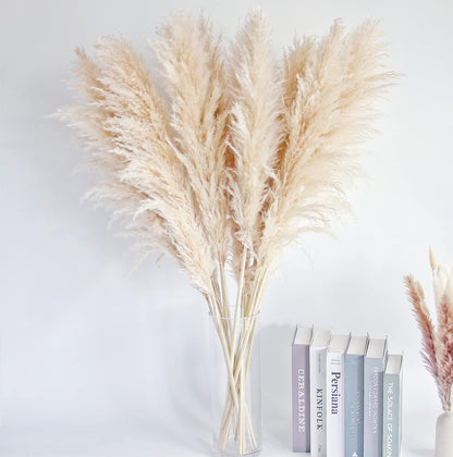 46" inch 10 Stems Natural Pampas Grass Decor Tall, Pompas Grass, Tall Pampas Grass for Weddingm, Farmhouse, Boho Home Decor (Beige)