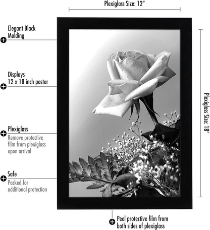 Americanflat 16x20 Picture Frame with Polished Plexiglass - Black Picture Frame - Wide Photo Frames Made of Engineered Wood for Vertical or Horizontal Wall Display - Epic Collection - Black - Colors B