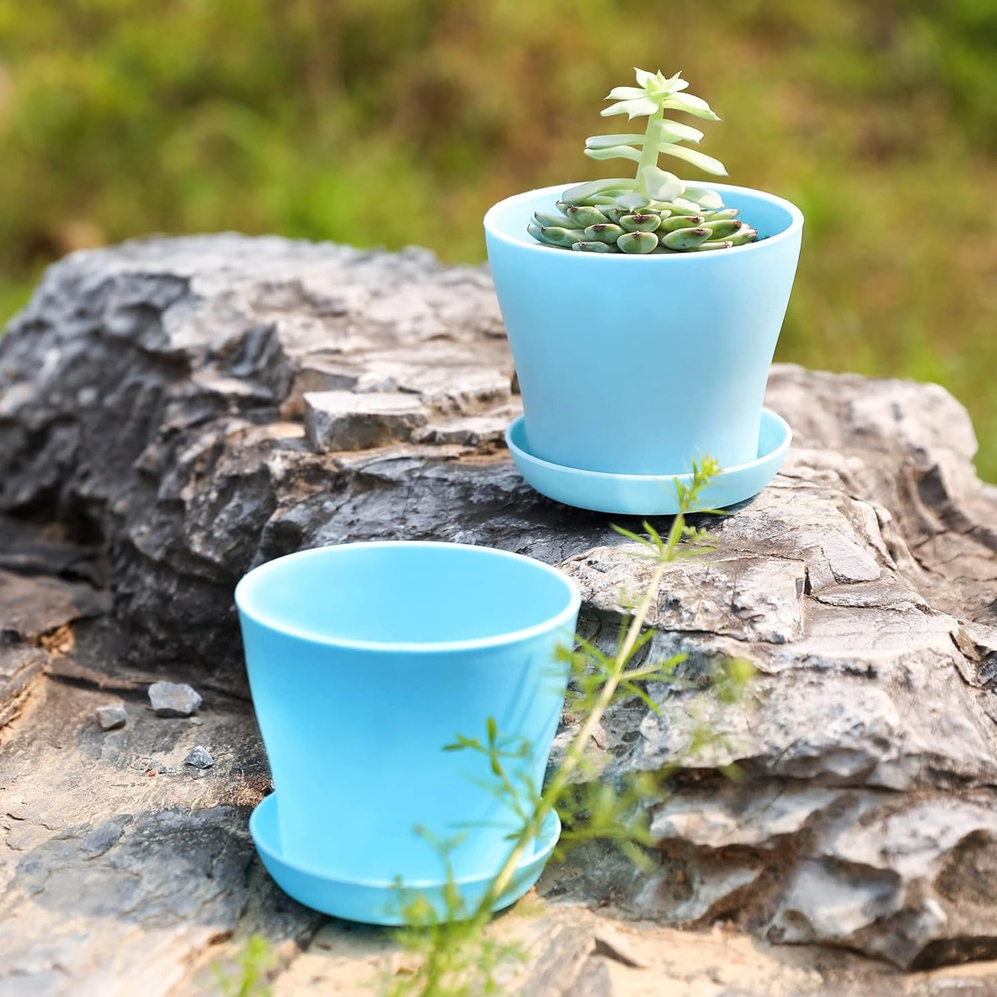 TDHDIKE 10 Pcs Plastic Planters Indoor Pots, Mini Flower Seedlings Nursery Flower Pot with Pallet, Modern Decorative Gardening Containers