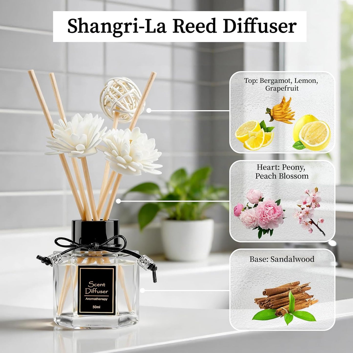 TonJin 2PCS Jasmine Reed Diffuser Set 1.7 fl oz with 6 Scent Sticks, Exotic Floral Home Fragrance, Natural Scented Oil Sticks for Bathroom, Living Room & Bedroom | Non-Toxic Air Freshener