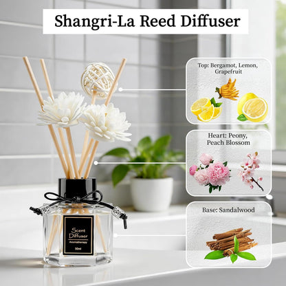 TonJin 2PCS Jasmine Reed Diffuser Set 1.7 fl oz with 6 Scent Sticks, Exotic Floral Home Fragrance, Natural Scented Oil Sticks for Bathroom, Living Room & Bedroom | Non-Toxic Air Freshener