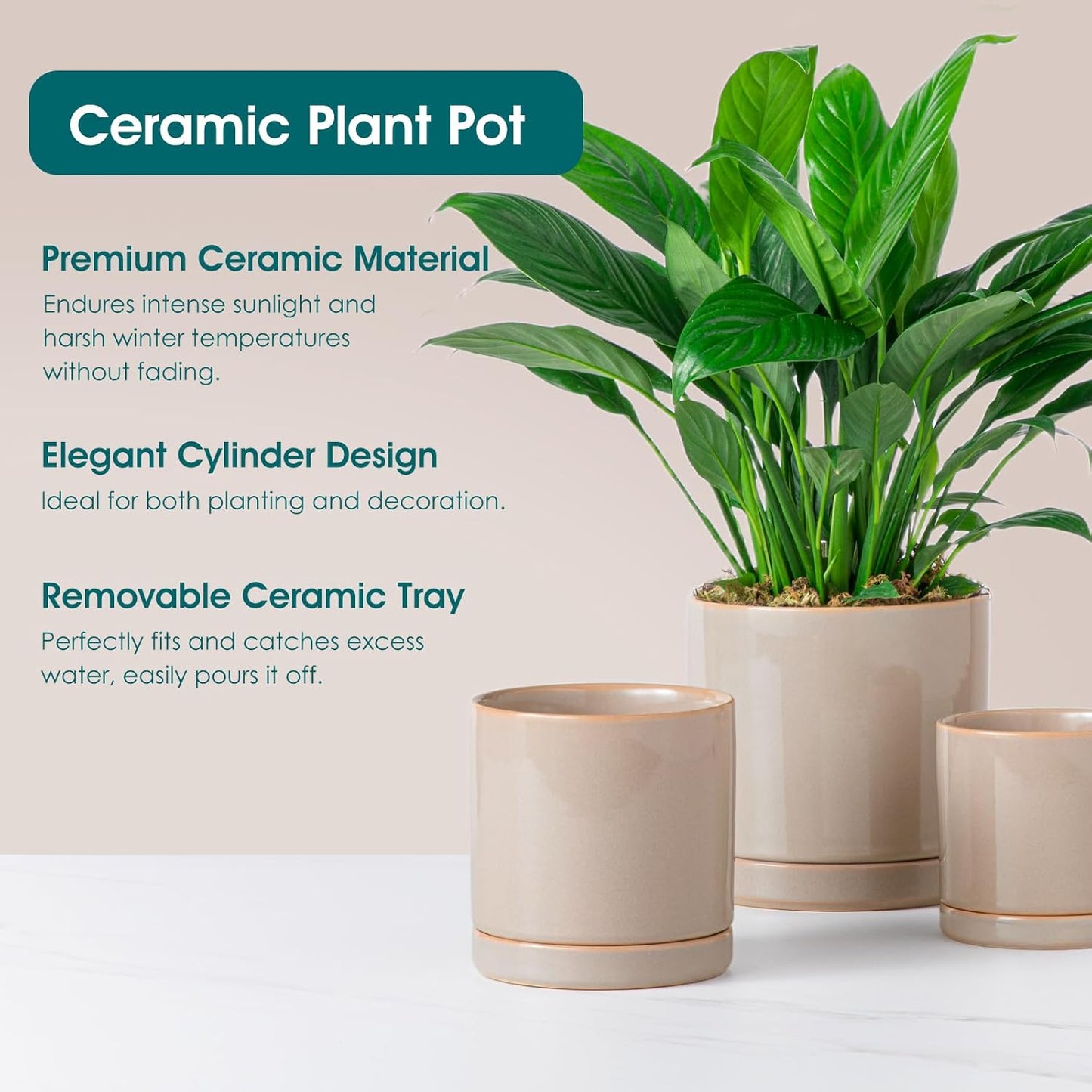 vancasso Ceramic Plant Pots, 3 Piece Planters for Indoor Plants, 4.25+5.25+6.25 Inch Flower Pots with Drainage, Plant Pots Indoor for Succulent, Pothos, Snake Plant and Money Tree, Etc (White)