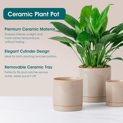 vancasso Ceramic Plant Pots, 3 Piece Planters for Indoor Plants, 4.25+5.25+6.25 Inch Flower Pots with Drainage, Plant Pots Indoor for Succulent, Pothos, Snake Plant and Money Tree, Etc (White)