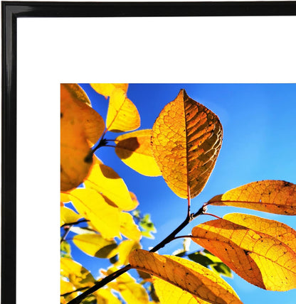 Aynoo Wood Floating Picture Frame 7x9, Table Top 8x10 7x9 6x8 Floating Frame Black Metal Modern Style Frame (PHSD),1Pack