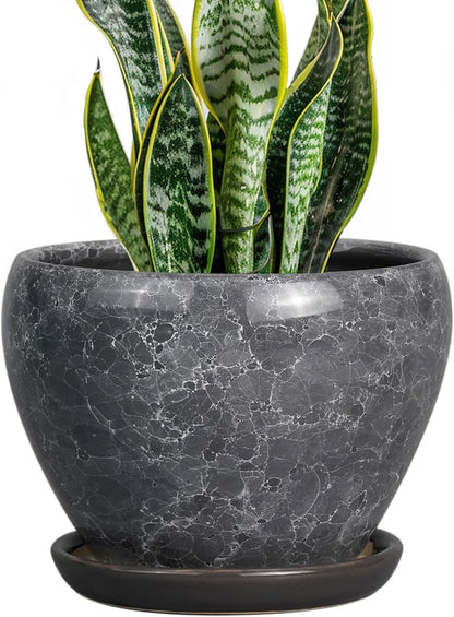 Ceramic Modern Glaze Succulent Planter Pot with Drainage Hole and Saucer 6 Inch Round Flower Plant Pot for Indoor Outdoor Herb Snake Plants