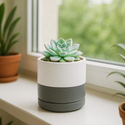 D'vine Dev Set of 2 Plants Pots, 6.5 Inch Ceramic Planter Pot for Plants with Drainage Hole and Saucer, White, 94-V-C-1