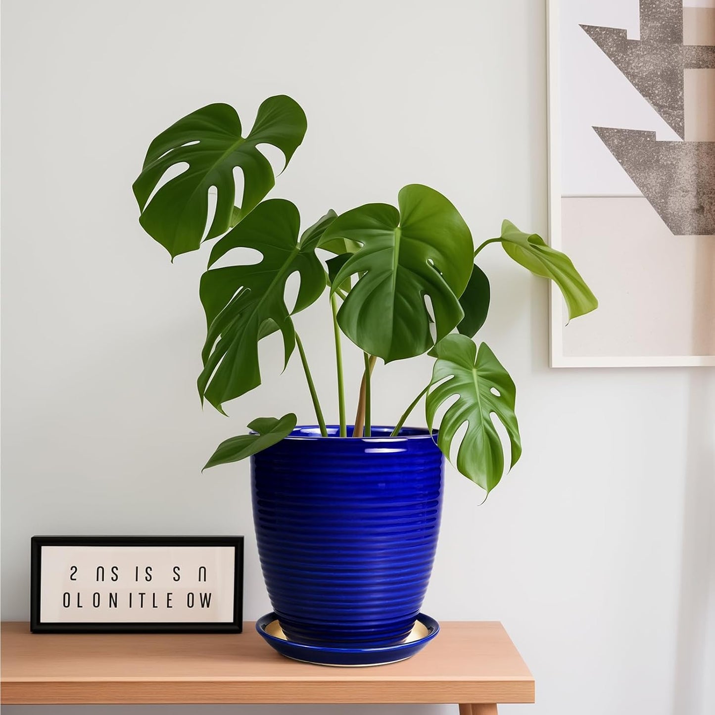 Ceramic Pots for Plants - 6 Inch Plant Pot with Drainage Hole and Saucer, Round Planters for Indoor Outdoor, Flower Pots, Modern Planter, Home Office Room Decor, Gifts for Plant Lovers, White