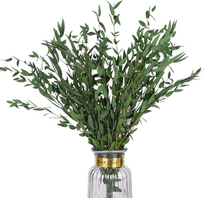 Real Eucalyptus Stems 20PCS Dried Preserved Fresh Eucalyptus Silver Dollar Leaves for Shower - Greenery Branches for Wedding Home Party Vase Filler Spring Decor