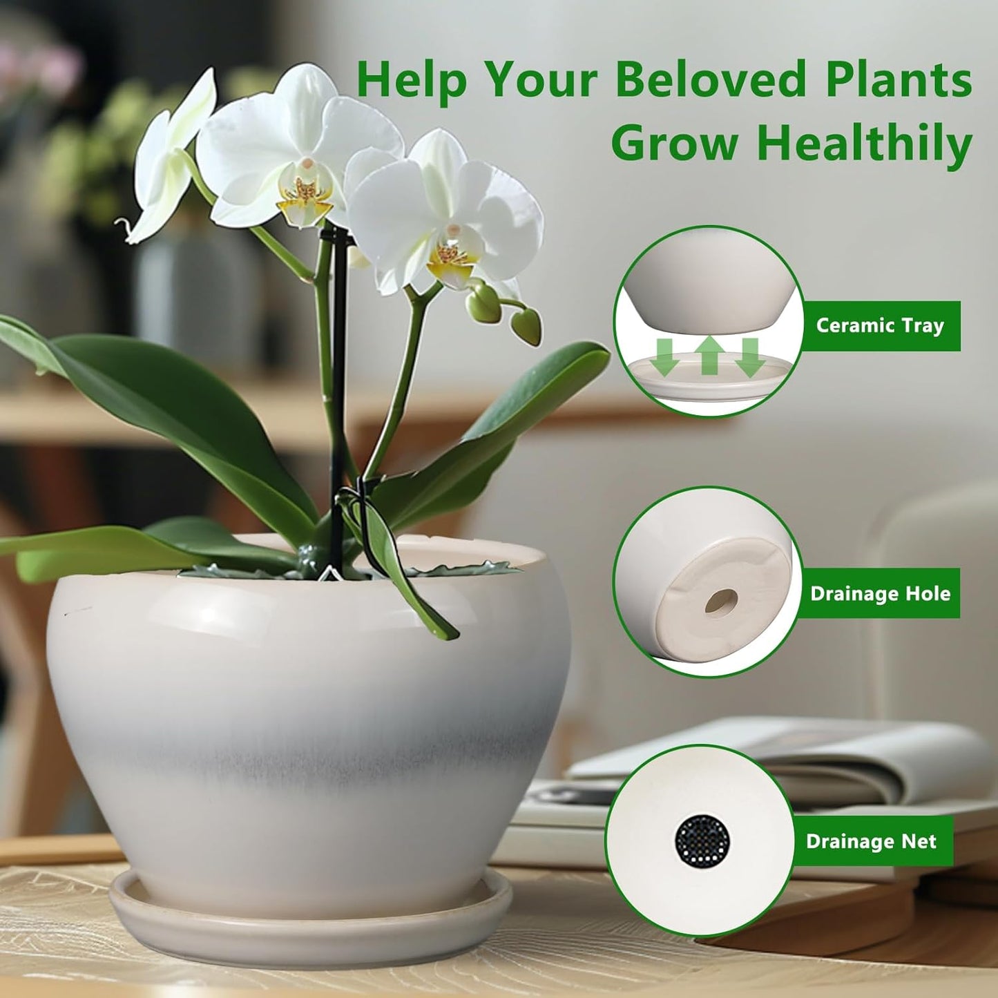 Ceramic Modern Glaze Succulent Planter Pot with Drainage Hole and Saucer 6 Inch Round Flower Plant Pot for Indoor Outdoor Herb Snake Plants