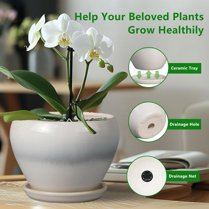Ceramic Modern Glaze Succulent Planter Pot with Drainage Hole and Saucer 6 Inch Round Flower Plant Pot for Indoor Outdoor Herb Snake Plants