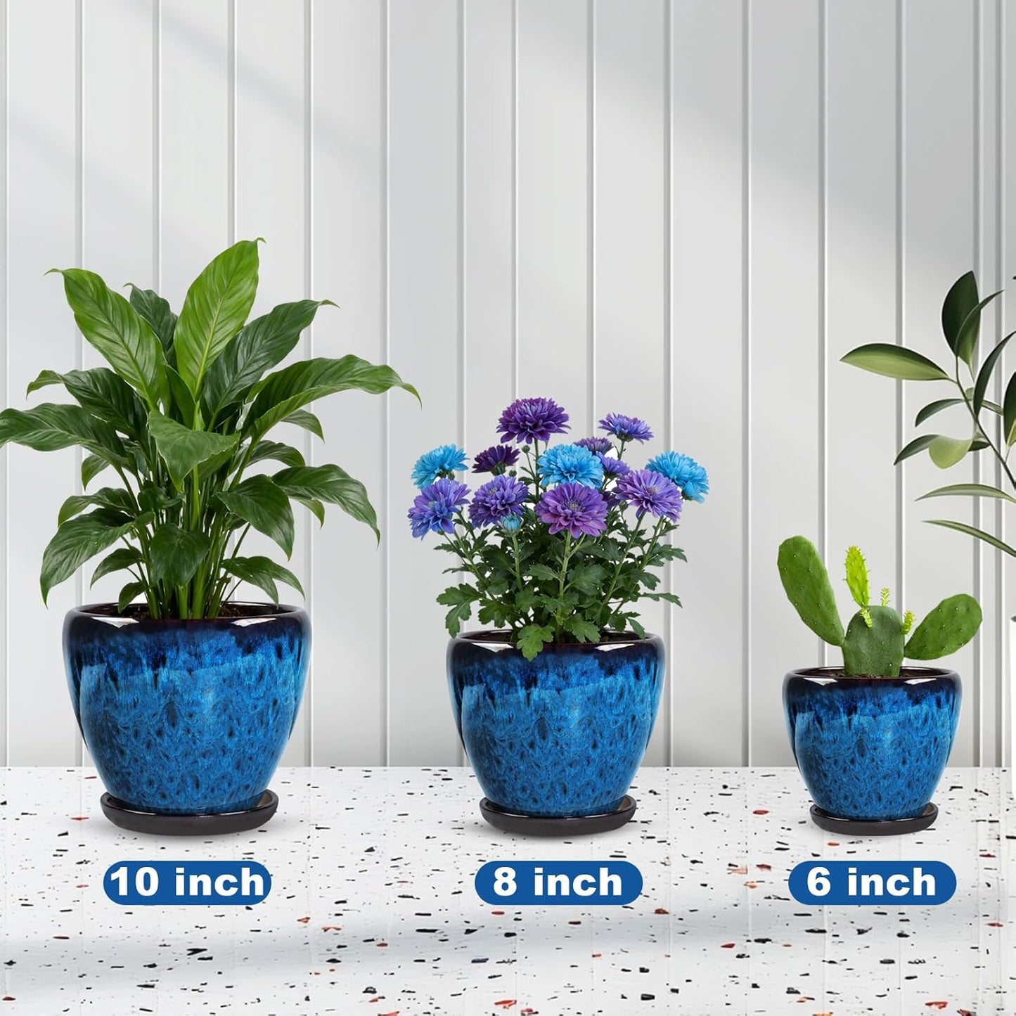Ceramic Plant Pots with Saucer, 6 inch Glaze Planters for Indoor Plants with Drainage Holes, Decorative Small Flower Pots Outdoor, Modern Succulent Pots for Home Room Decor