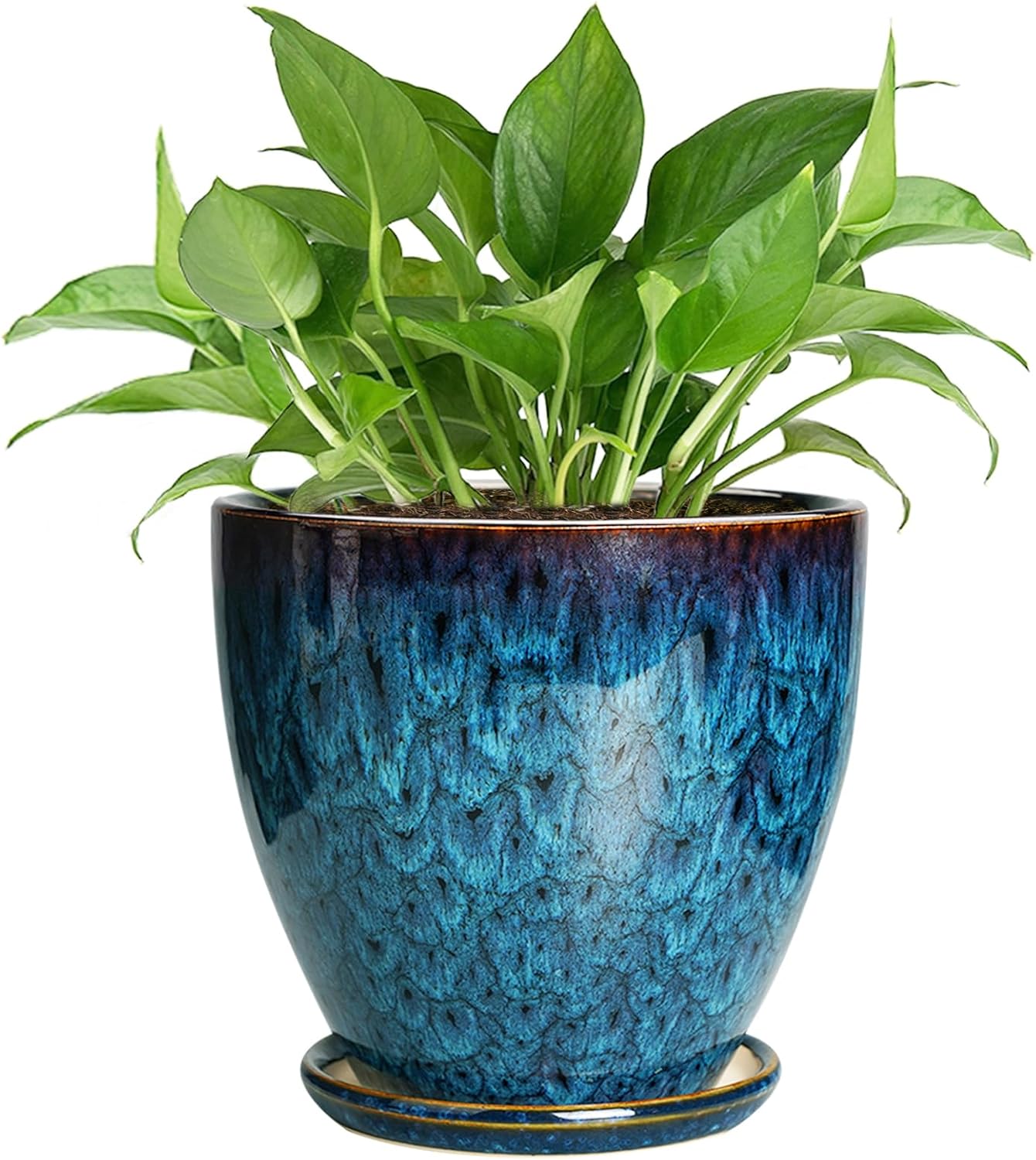 10 Inch Ceramic Planter Pot Round Plant Pot for Indoor Plants Outdoor Large Flower Pot with Drainage Hole and Saucer Blue
