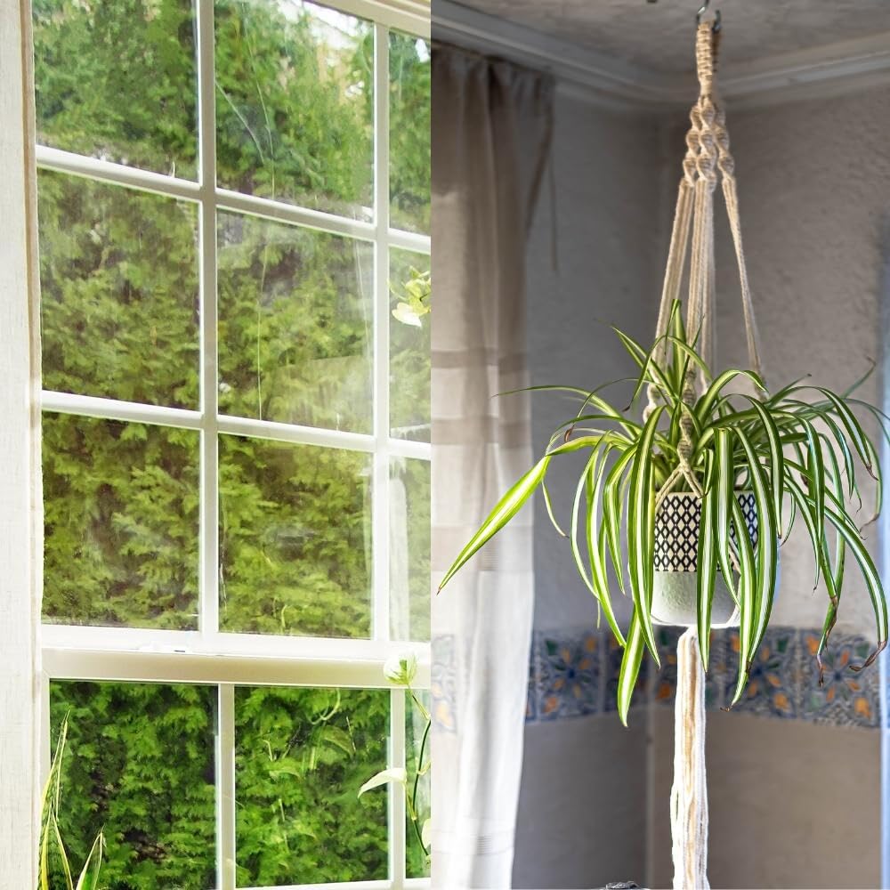 feedee Macrame Plant Hangers Indoor Macrame Hanging Planters for Indoor Plants, 6 Pack Hanging Plant Holders Indoor Hanging, Macromay Plant Hangers for Indoor Plant Hanger, Outdoor Flower Pots Holder