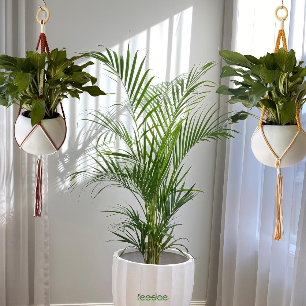 feedee Macrame Plant Hangers Indoor Macrame Hanging Planters for Indoor Plants, 6 Pack Hanging Plant Holders Indoor Hanging, Macromay Plant Hangers for Indoor Plant Hanger, Outdoor Flower Pots Holder