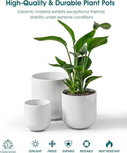 vancasso Ceramic Plant Pots, 4+5+6 inches, Set of 3, Planters with Drainage Hole, Flower Pots Planters Pots for Indoor Plants, Modern Indoor Decorative Garden Pot, Home Decor, White