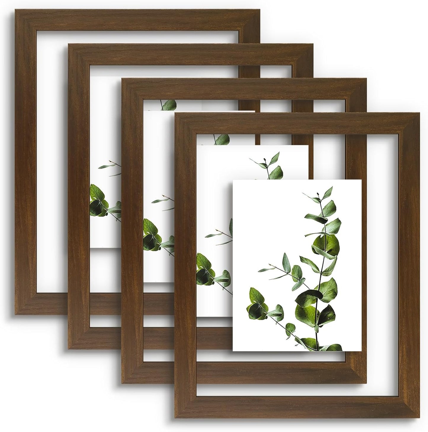 Golden State Art, 11X14 Floating Picture Frame, Black Wood Frame Display Any Size Photo Up To 11X14, Pressed Flower Frames with Hanging Hardware - Horizontal And Vertical Formats for Wall