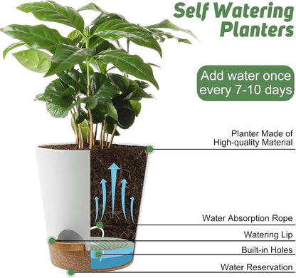 YNNICO Indoor Self Watering Planters with Drainage Holes and Saucers, 8, 7, 6.5, 6, 5.5, 5 Inches, Black, 6 Pots