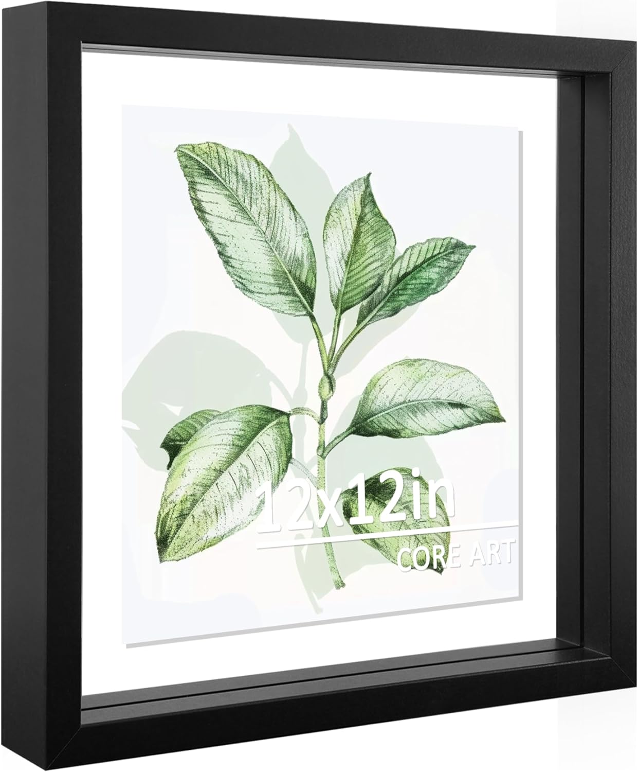 CORE ART 8x10 Floating Picture Frame,Double Plexglass Floating Frame for 5x7,4x6 Pictures,Wall or Tabletop Display,Black
