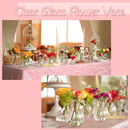 Bud Vases Set of 12, Clear Glass Bud Vase in Bulk, Small Vases for Centerpiece Mini Modern Flower Vase Transparent, Wedding Party Table Home Decor