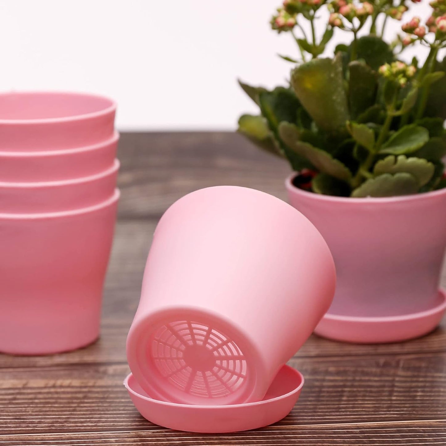 TDHDIKE 10 Pcs Plastic Planters Indoor Pots, Mini Flower Seedlings Nursery Flower Pot with Pallet, Modern Decorative Gardening Containers