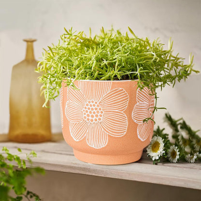 YBX 8 Inch + 6 Inch Ceramic Plant Pots, Succulent Flower Pots with Drainage Holes, Terracotta Planters for Indoor Plants, White&Terracotta (Garden)