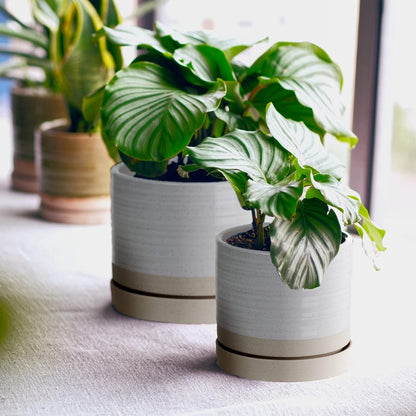 HERDUK 6 Inch Plant Pots, Ceramic Planter Pot with Drainage Hole & Saucer, Indoor/Outdoor Cylinder Round Planter Pot, Green & Beige