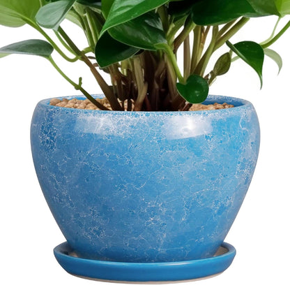 Ceramic Modern Glaze Succulent Planter Pot with Drainage Hole and Saucer 6 Inch Round Flower Plant Pot for Indoor Outdoor Herb Snake Plants