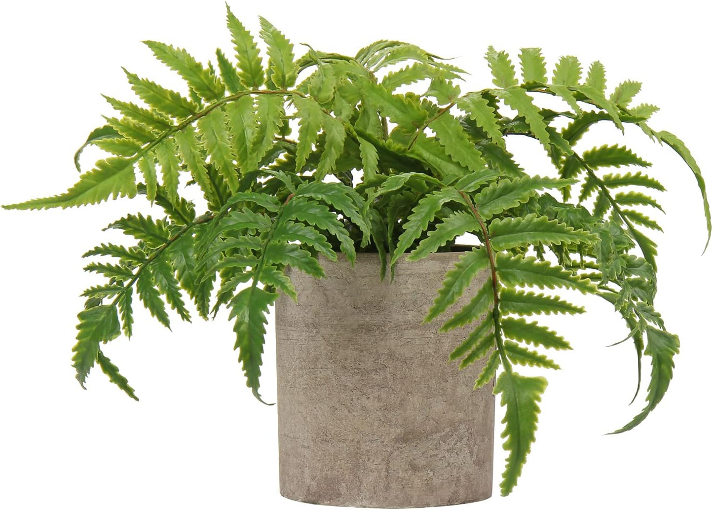 Briful Small Fake Plant Potted Plants Artificial Decor Plastic Asparagus Ferns Plant Faux Plants in Pots for Home Living Room Bedroom Desk Shelf Farmhouse Decoration