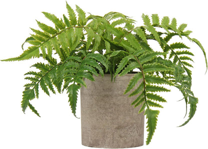 Briful Small Fake Plant Potted Plants Artificial Decor Plastic Asparagus Ferns Plant Faux Plants in Pots for Home Living Room Bedroom Desk Shelf Farmhouse Decoration