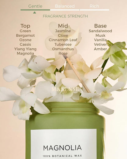 M&SENSE Eucalyptus & Mint Scented Jar Candle, Large 19.4oz Natural Soy Wax, 110-Hour Long Lasting Non-Toxic Clean Burning, Fresh Smelling Home Aromatherapy for Spa Stress Relief, Gifts for Men Women