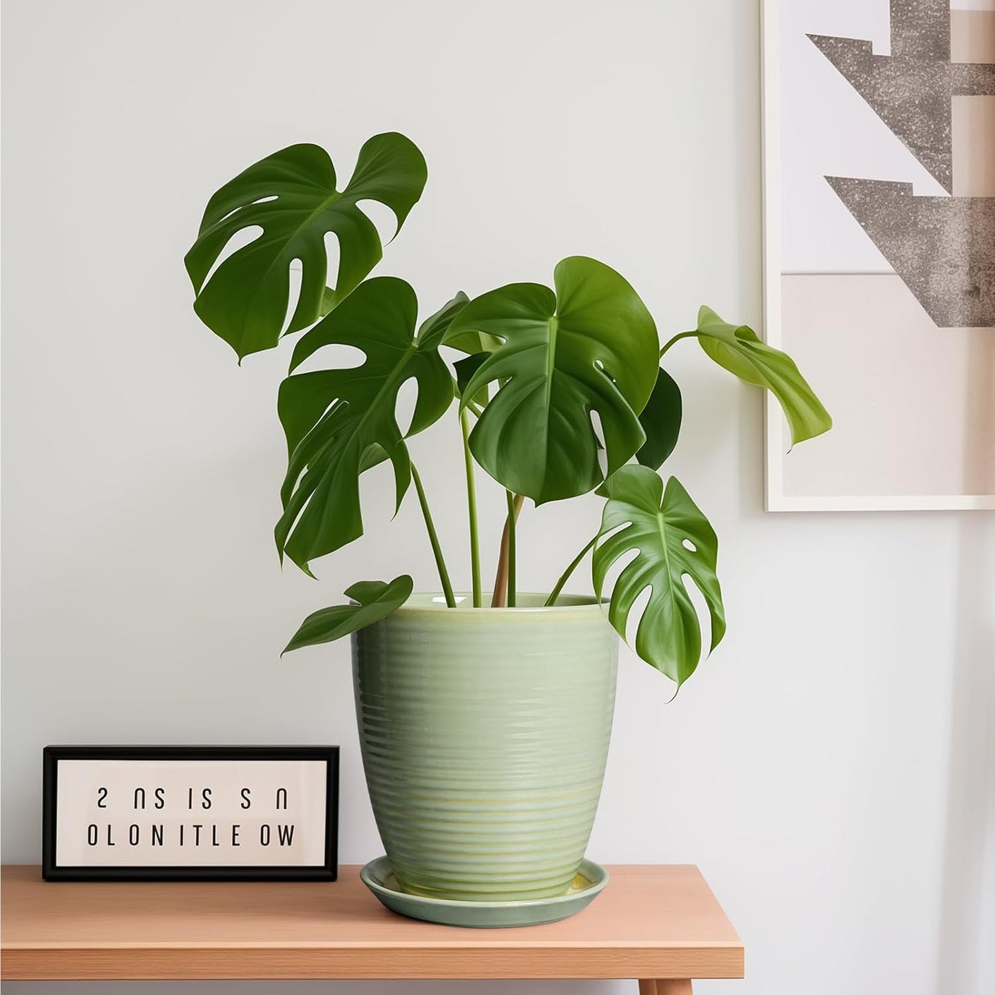 Ceramic Pots for Plants - 6 Inch Plant Pot with Drainage Hole and Saucer, Round Planters for Indoor Outdoor, Flower Pots, Modern Planter, Home Office Room Decor, Gifts for Plant Lovers, White