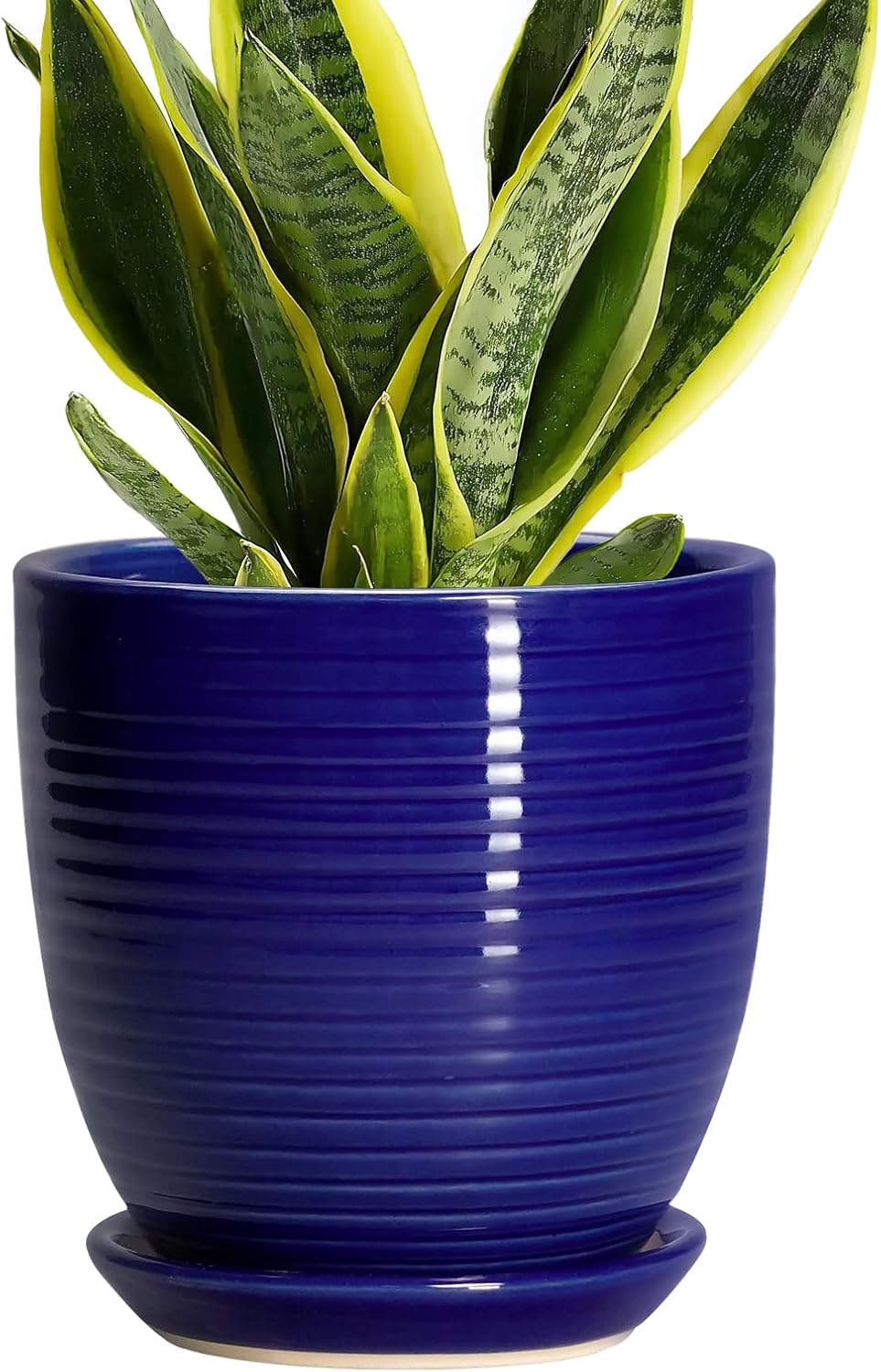 Ceramic Pots for Plants - 6 Inch Plant Pot with Drainage Hole and Saucer, Round Planters for Indoor Outdoor, Flower Pots, Modern Planter, Home Office Room Decor, Gifts for Plant Lovers, White