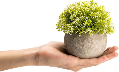 Velener Mini Sage Green Potted Boxwood Topiary Artificial Plants for Home Decor Indoor, Farmhouse House Plant Office Small Desk Shelf Apartment Coffee Bar Bathroom Decor Guest Room, Small Fake Plant