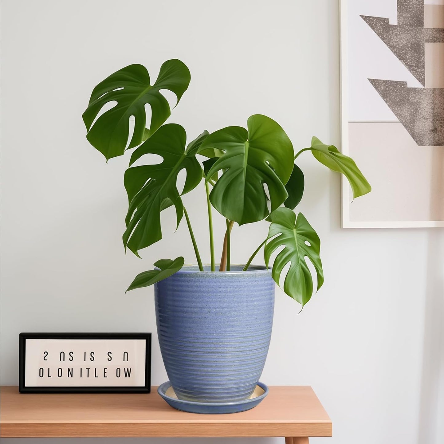 Ceramic Pots for Plants - 6 Inch Plant Pot with Drainage Hole and Saucer, Round Planters for Indoor Outdoor, Flower Pots, Modern Planter, Home Office Room Decor, Gifts for Plant Lovers, White