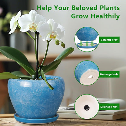 Ceramic Modern Glaze Succulent Planter Pot with Drainage Hole and Saucer 6 Inch Round Flower Plant Pot for Indoor Outdoor Herb Snake Plants