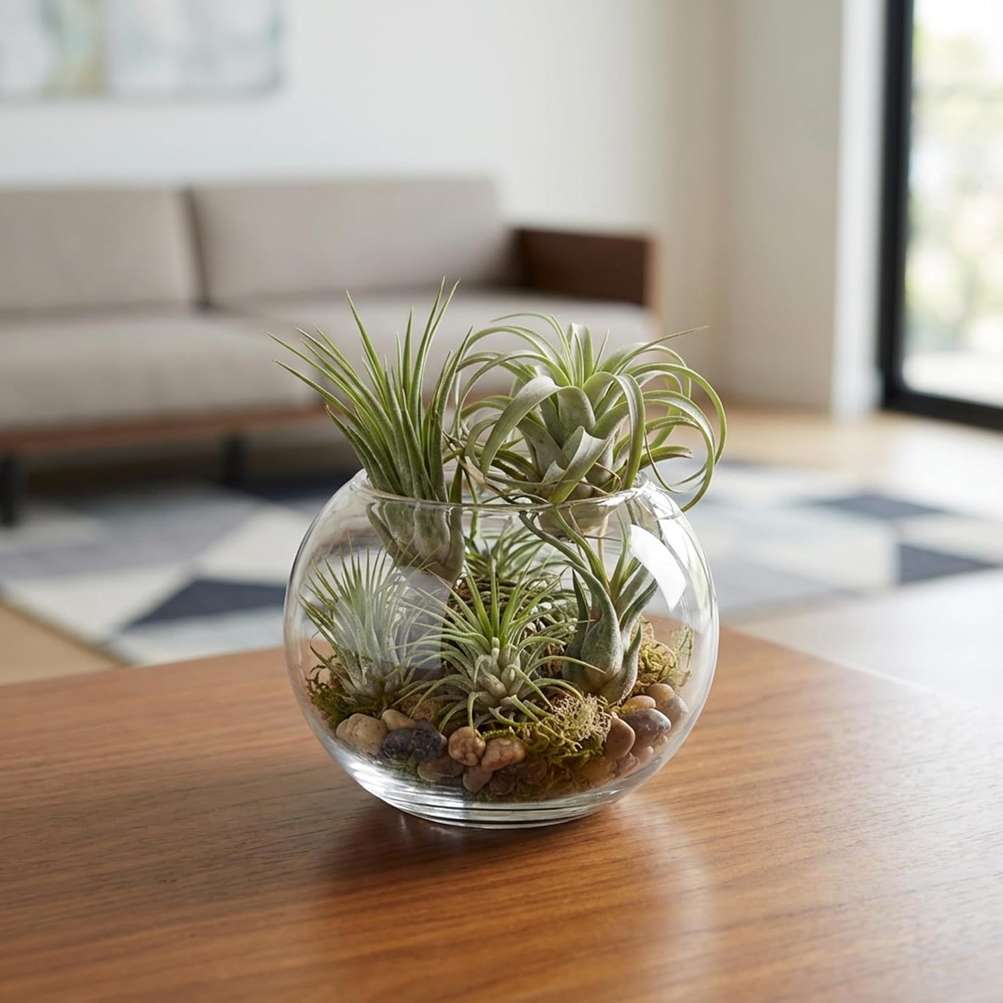 WGV Bowl Glass Vase, Diameter 6", Height 4.5", Open Width 4", (Multiple Sizes Choices) Clear Bubble Planter Terrarium Fish Bowl for Wedding Event Home Decor, 1 Piece (VBW0006A)