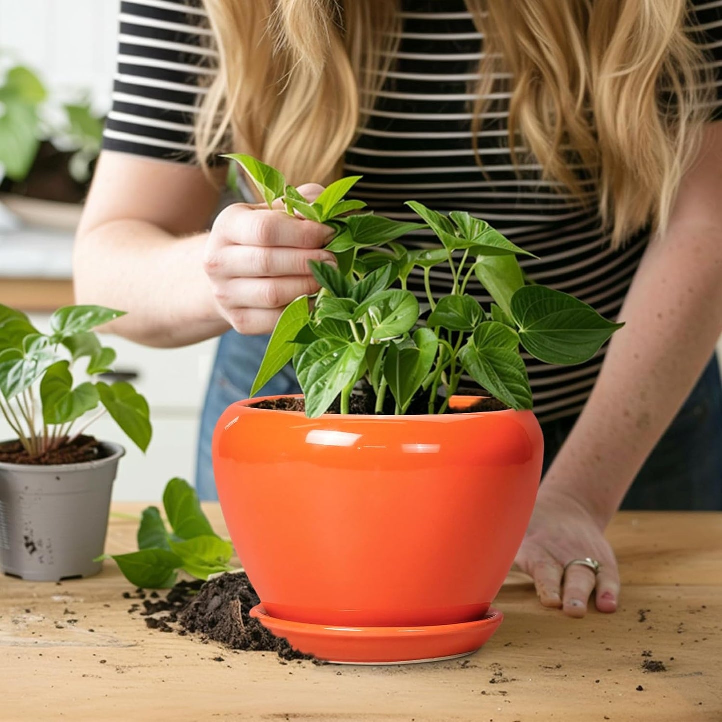 Ceramic Modern Glaze Succulent Planter Pot with Drainage Hole and Saucer 6 Inch Round Flower Plant Pot for Indoor Outdoor Herb Snake Plants