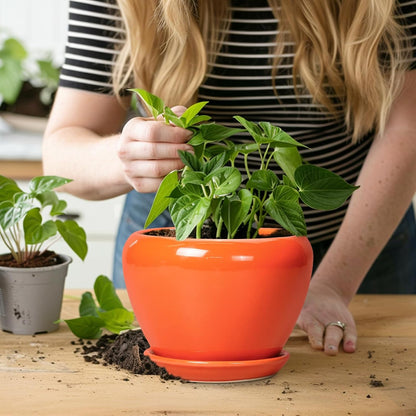 Ceramic Modern Glaze Succulent Planter Pot with Drainage Hole and Saucer 6 Inch Round Flower Plant Pot for Indoor Outdoor Herb Snake Plants